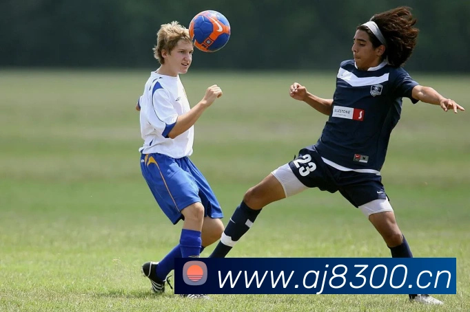 星空网官网首页入口平台生态图